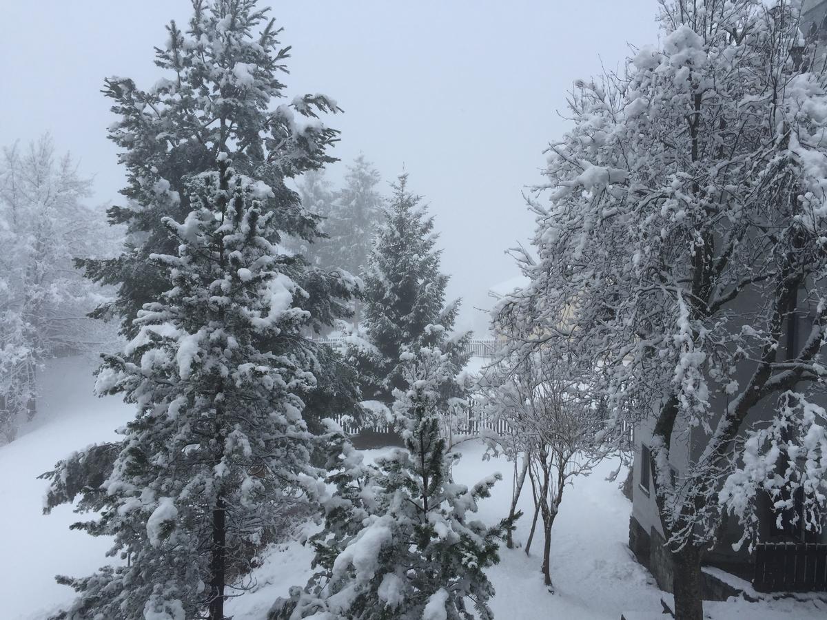 Disentis Lägenhet Exteriör bild