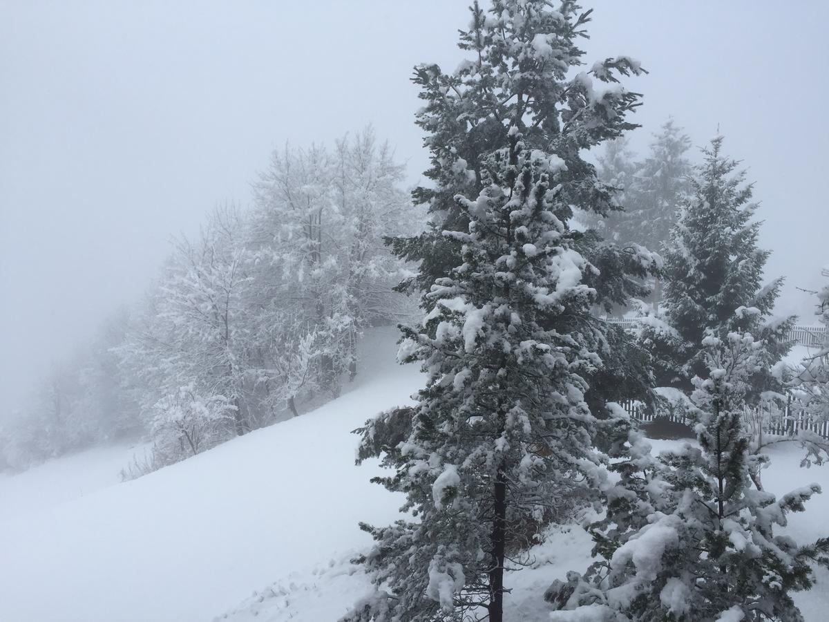 Disentis Lägenhet Exteriör bild